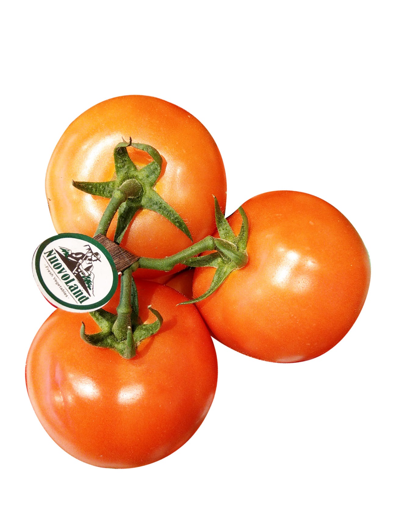 VINE RIPENED TRUSS TOMATO (+/-700G)